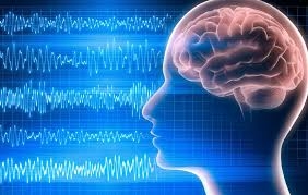 Exploring the Role of EEG in Aging Populations in Conductive and contactless EEG Market